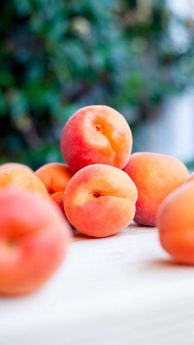 GELATI CREMOSI ALBICOCCHE E MANGO🍑