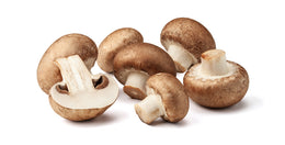 FUNGHI 10 curiosità e non solo...