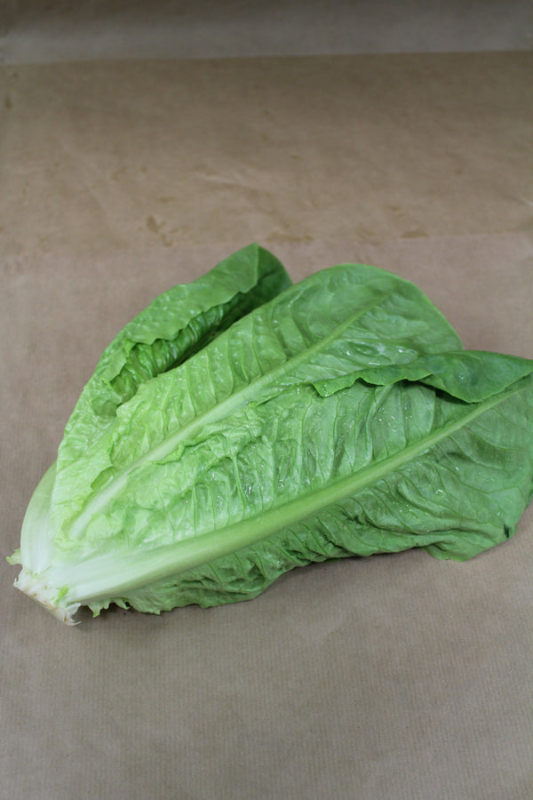 Insalata Romana