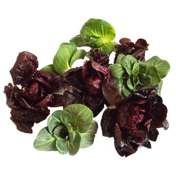 Insalata cicorino vaschetta 120gr