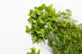 Insalatina Rucola busta 250gr