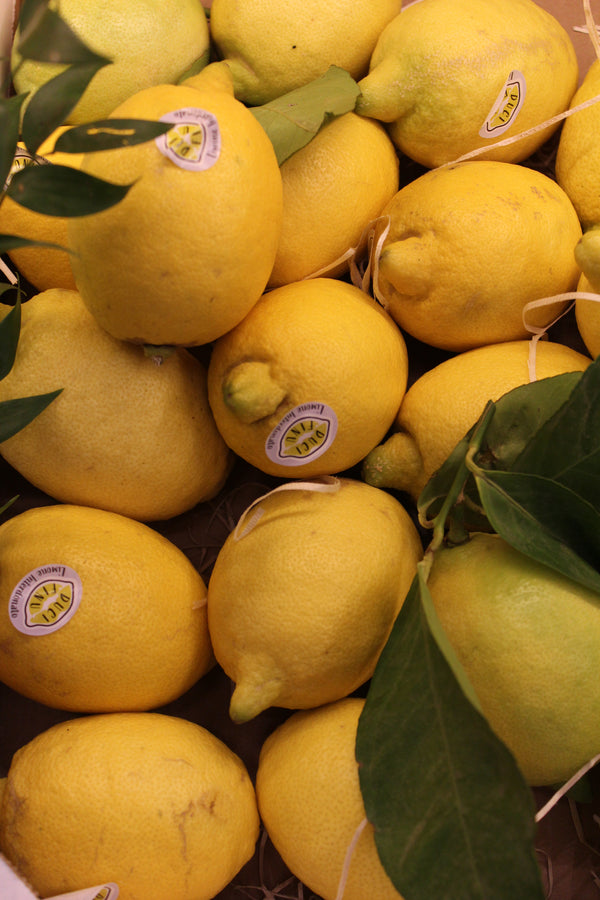 Limoni Naturali Foglia Italia