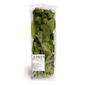 Menta vaschetta 30gr