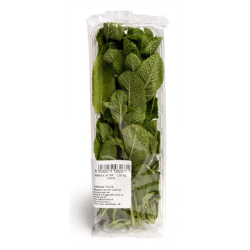 Menta vaschetta 30gr