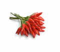 Peperoncino mazzo