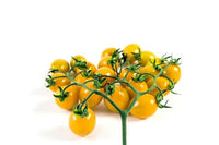 Pomodoro Ciliegino giallo 300gr