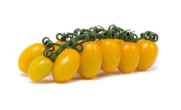 Pomodorino Datterino giallo 300 gr