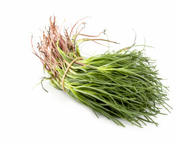 Barba dei frati Agretti 300gr