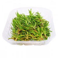 Rosmarino vaschetta 30gr