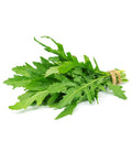 Rucola selvatica mazzo