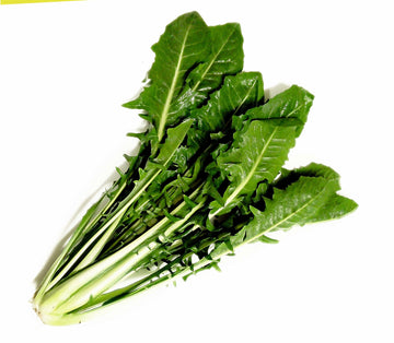 Catalogna novella 500gr