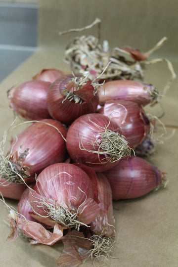 Cipolla rossa
