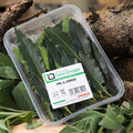 Alloro 30gr