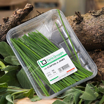 Erba cipollina vaschetta 30gr