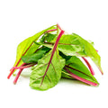 Erbette rosse 400gr