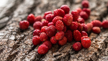 Fragoline di bosco 100gr