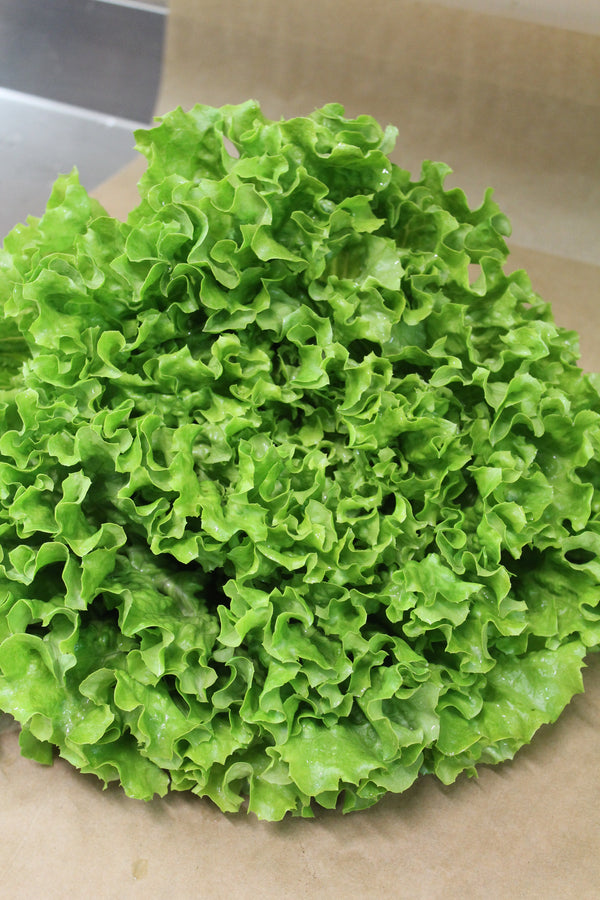 Insalata Gentile