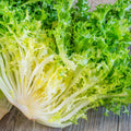 Insalata indivia riccia 500gr