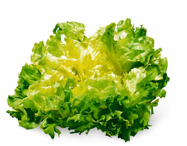 Insalata Indivia Scarola 500gr