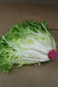Insalata riccia