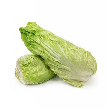 insalata Milano (pan di zucchero) 500gr