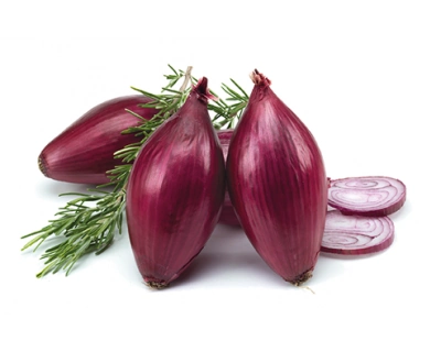 Cipolla rossa di tropea 500gr