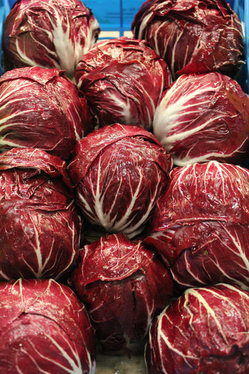 Insalata Radicchio di Chioggia
