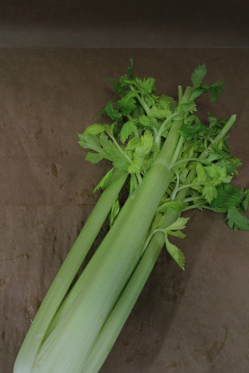 Sedano Bianco