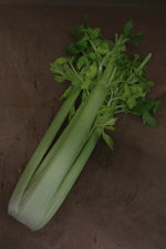 Sedano Bianco