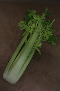 Sedano Bianco