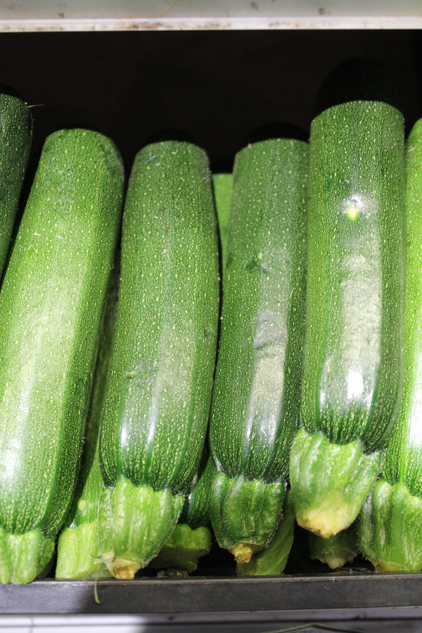 Zucchine