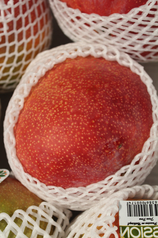 Mango Via Aerea
