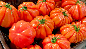 Pomodoro Cuore di Bue, 500g