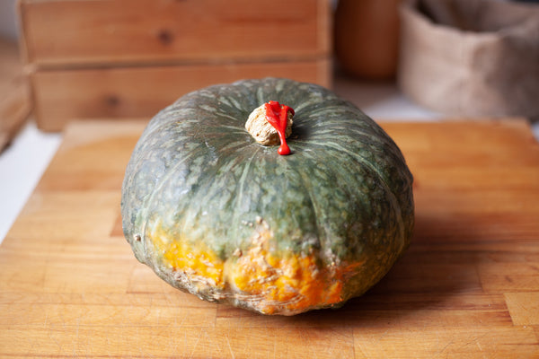 Zucca Delica, 1 pz. circa 1.6kg, Cat. Extra