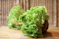 Insalata Lollo