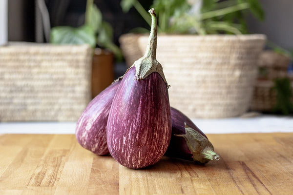 Melanzana striata, 1 kg, Cat. Extra